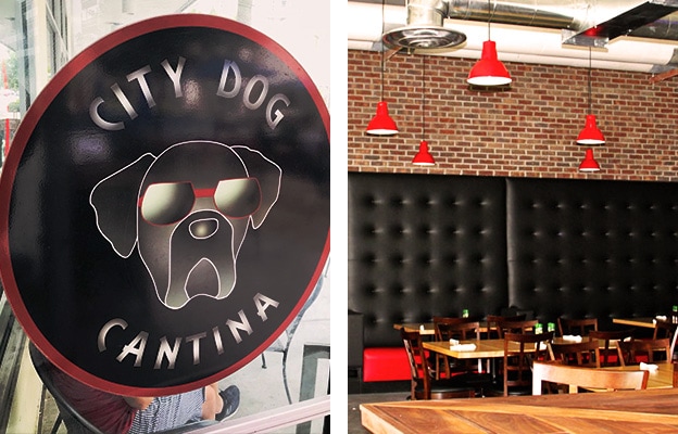 city dog cantina restaurant
