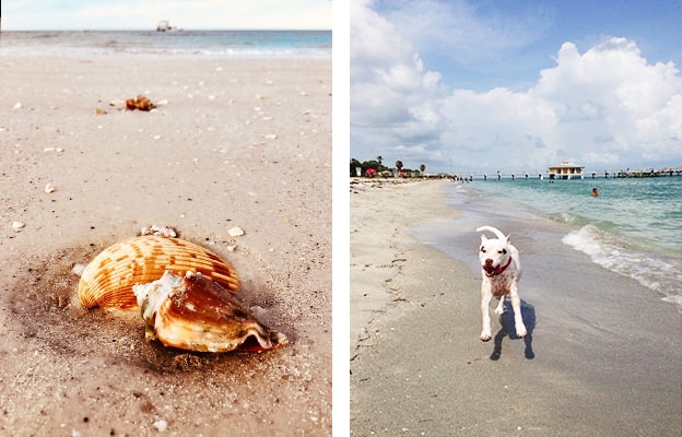 fort de soto park