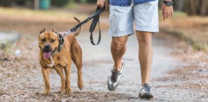 man walking with dog