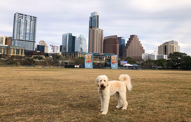 auditorium shores austin