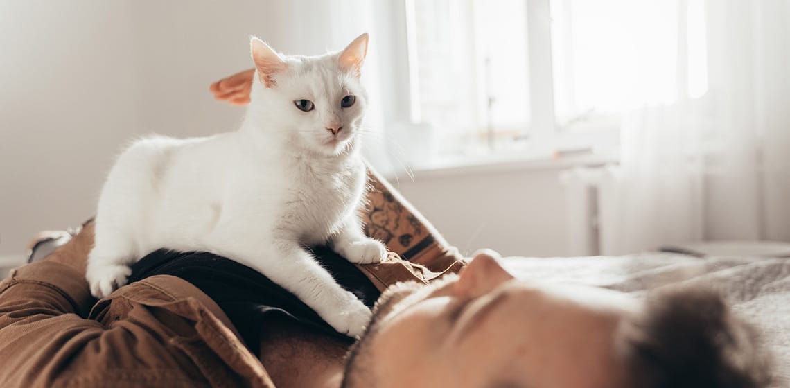 Cat kneading with hot sale all 4 paws