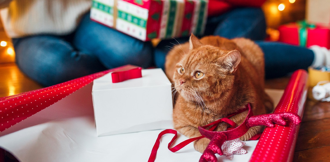 15 Best Gifts for Cat Lovers this Holiday Season - The Vets