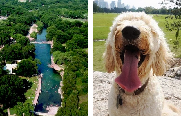 zilker park austin