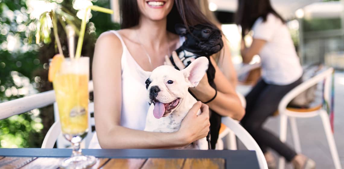 dog-friendly-brunch-in-dallas-2022-edition-the-vets