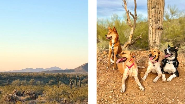 Apache Wash Trailhead in Phoenix