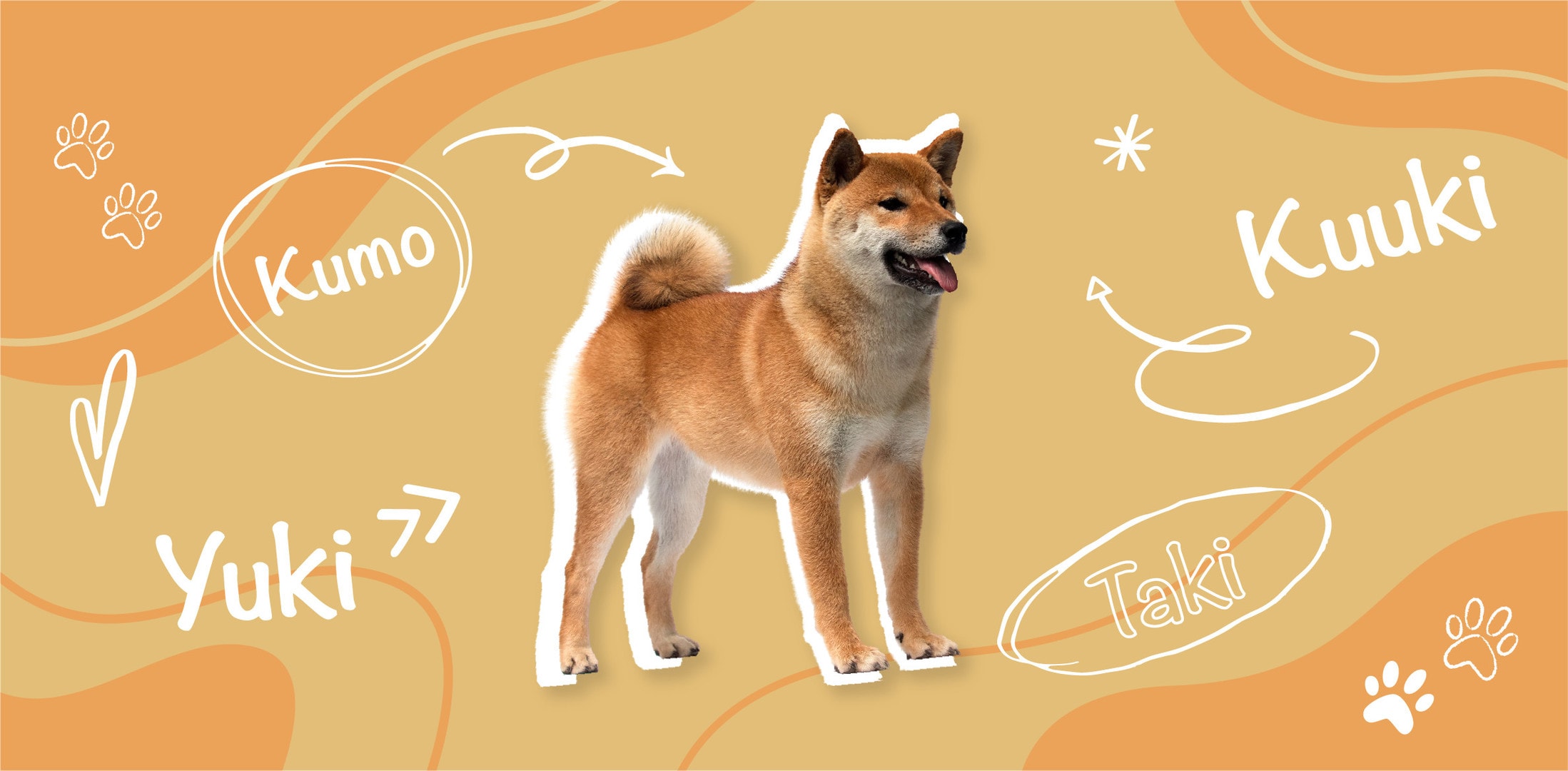 Original and Traditional Japanese Dog Names The Vets Blog