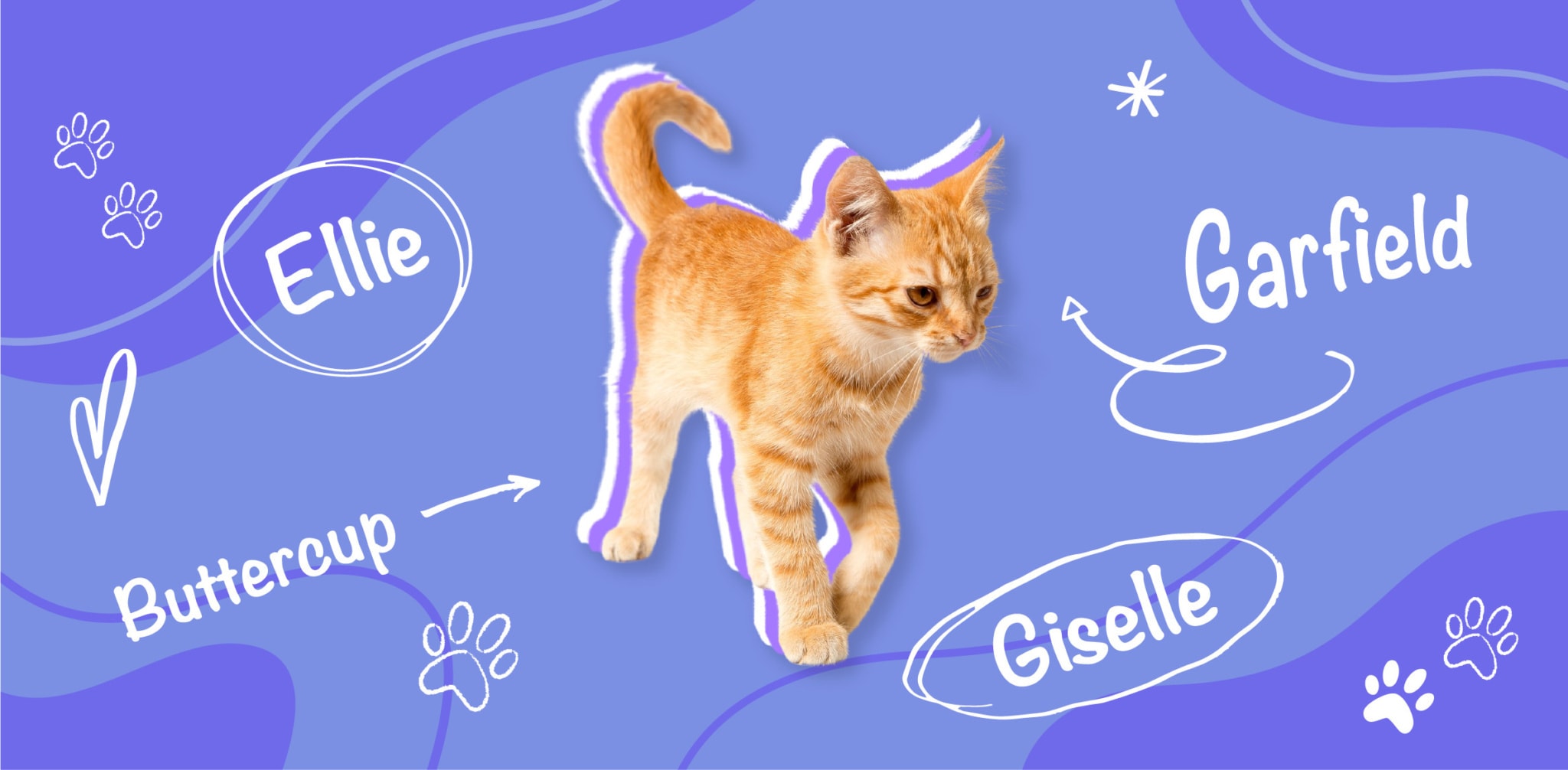 best-orange-cat-names-the-vets-blog