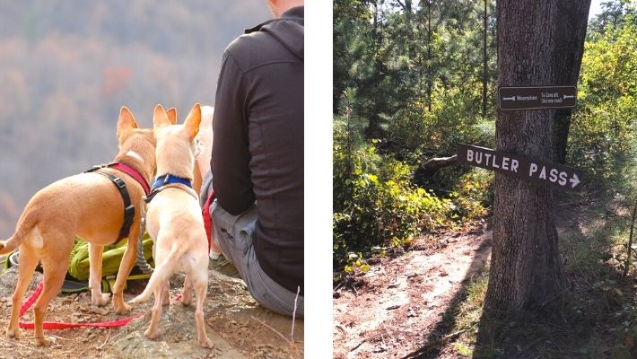 Butler's Pass Trail