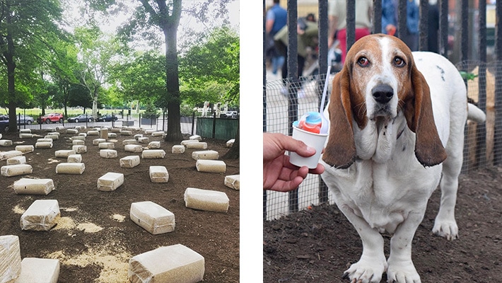 Mccarren dog park