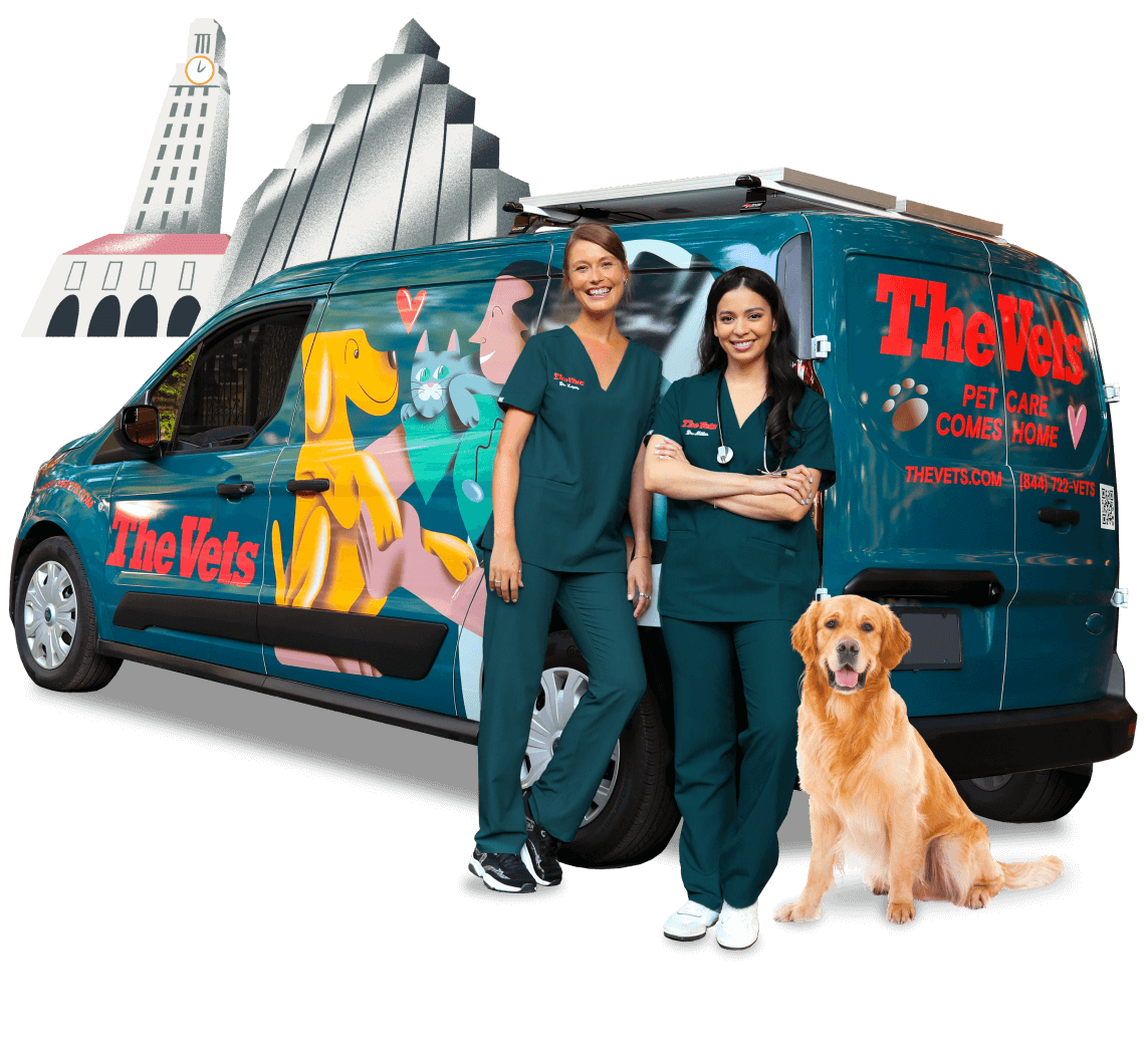 the mobile vets of Austin Texas