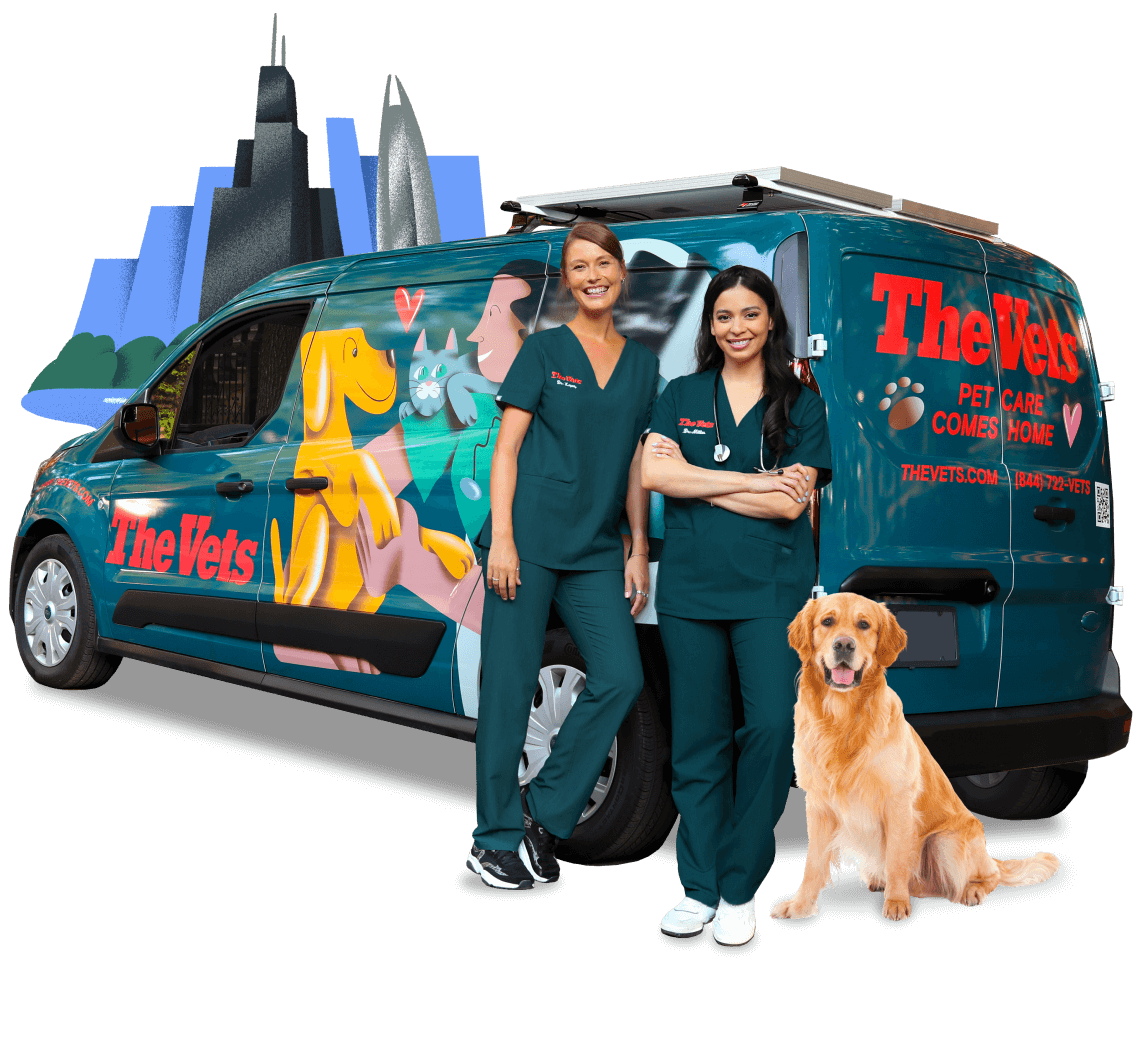 the mobile vets of Chicago Illinois