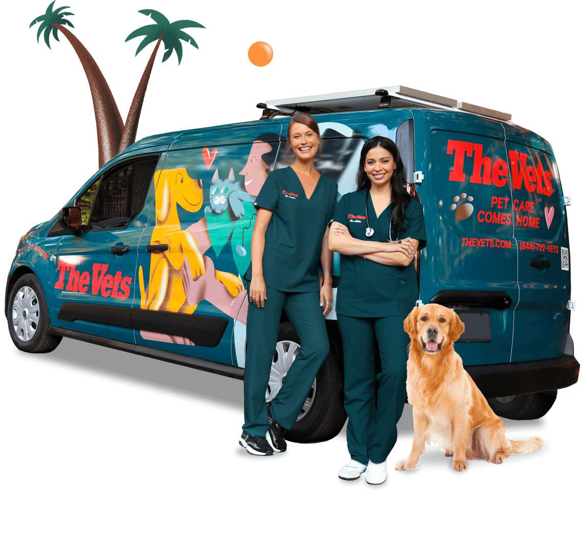 the mobile vets of Miami, Florida