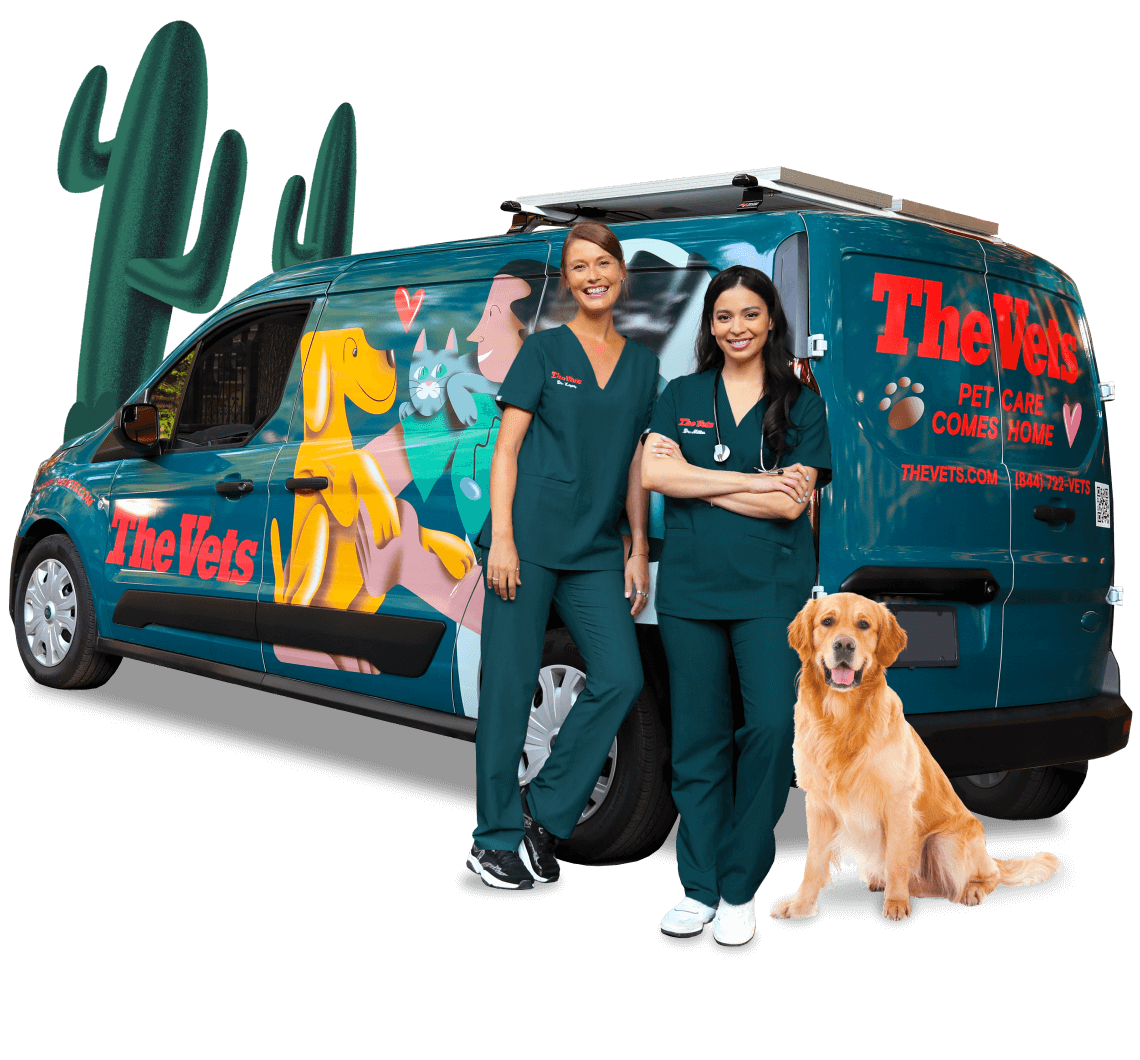 the mobile vets of Phoenix Arizona