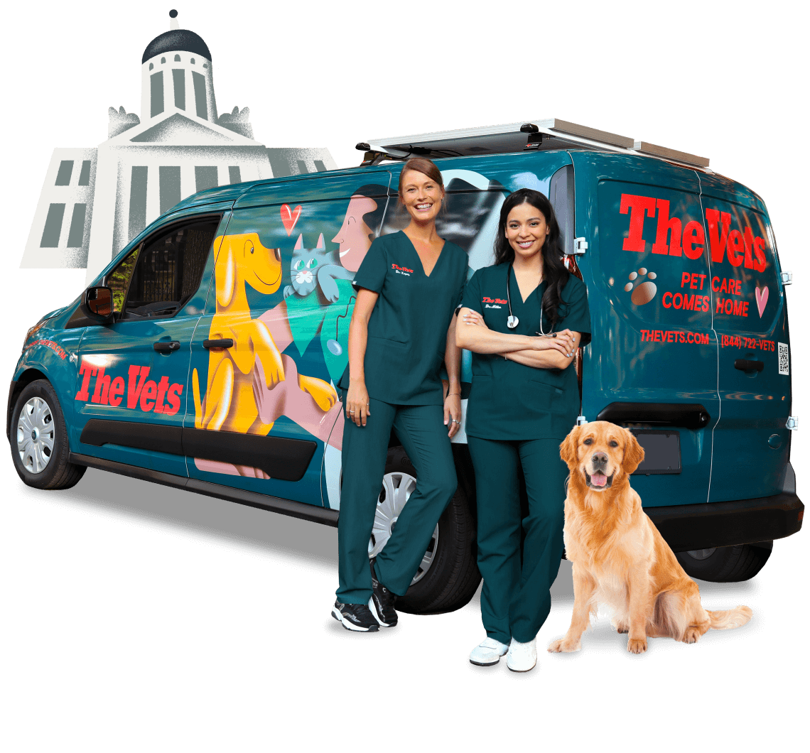 The Vets Sacramento CA Mobile Vet Near Me Pet Care Comes Home