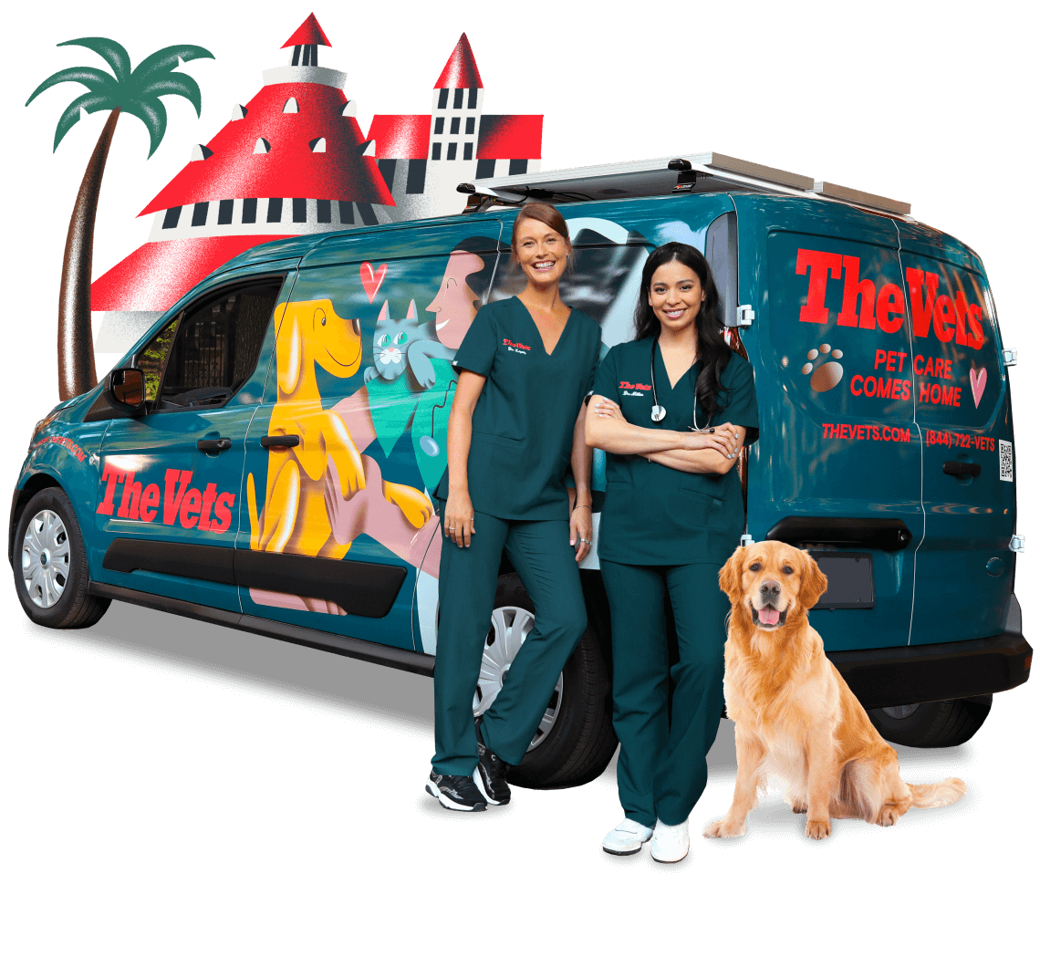 the mobile vets of San Diego, California