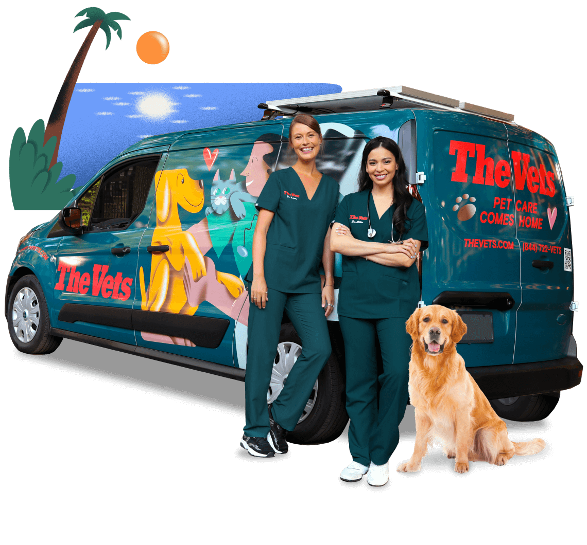 the mobile vets of Tampa, Florida