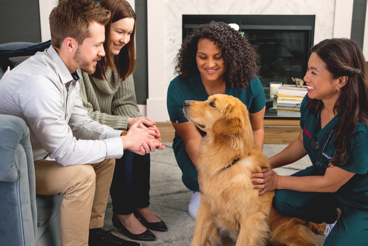 vet to visit home