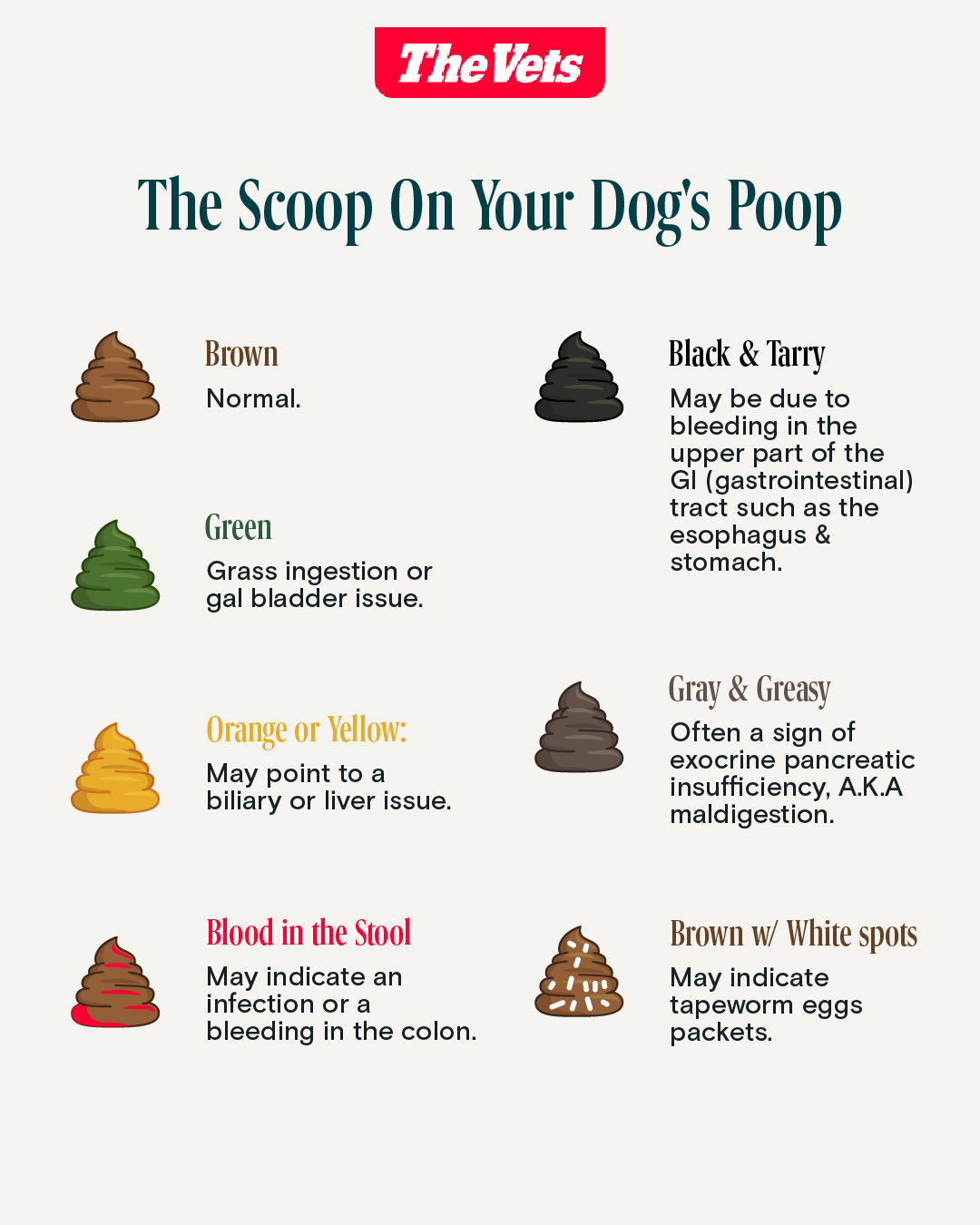 Dog Pooping Blood Causes and Treatment