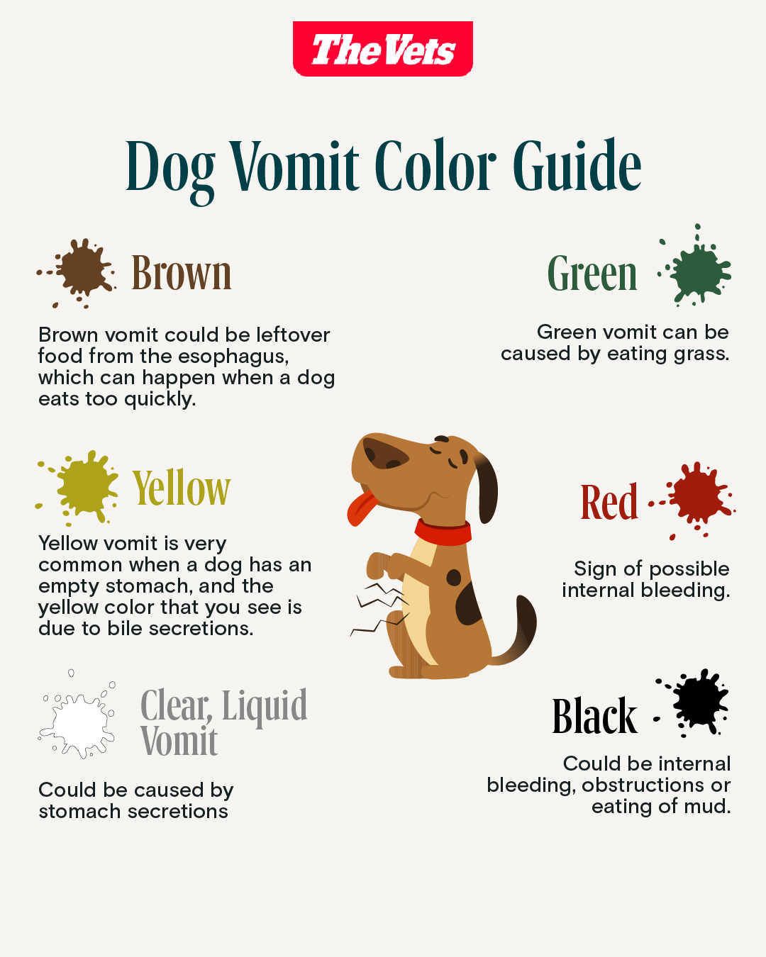 types of dog vomit