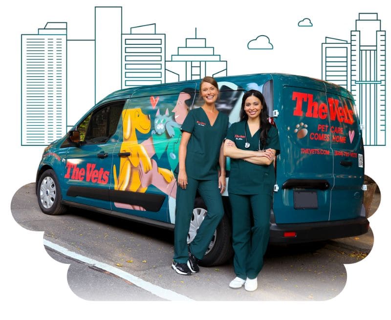 The Vets - a mobile vet near you
