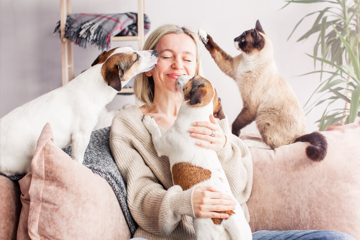 dogs and cat-licking woman
