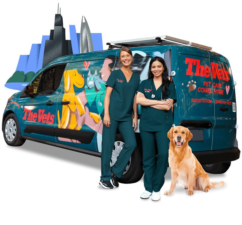 mobile veterinarian near you