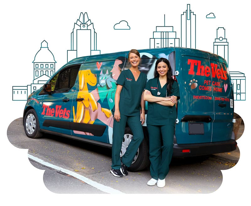 the mobile vets of Austin