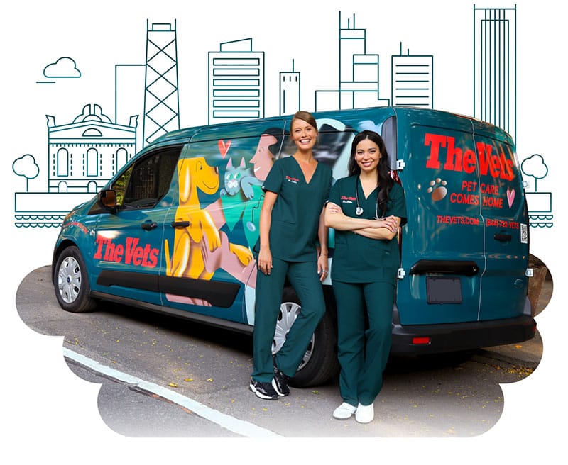 the mobile vets of Chicago