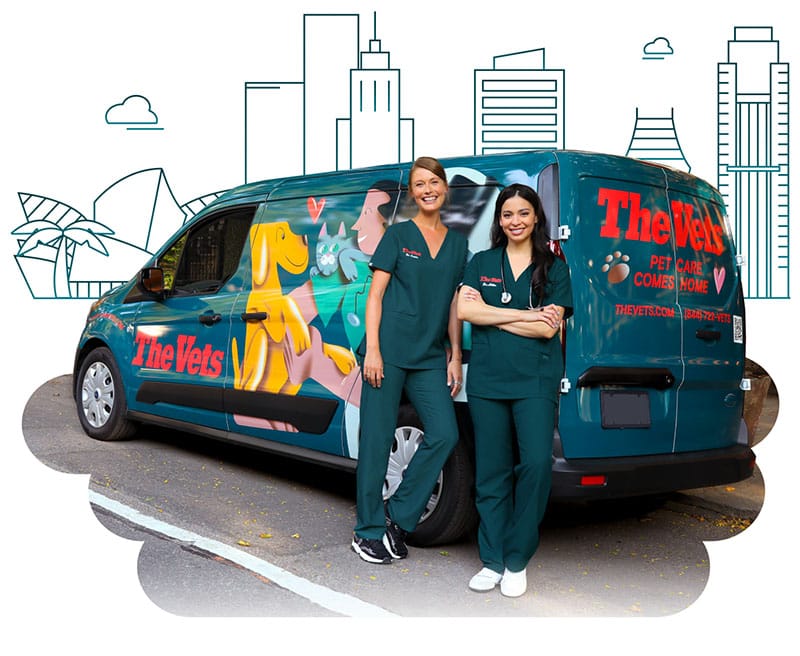 the mobile vets of Los Angeles
