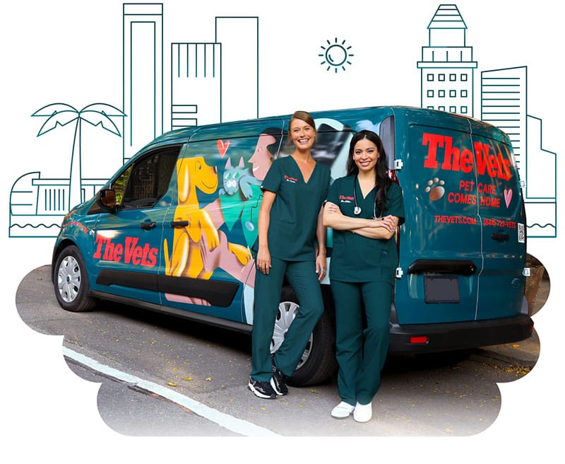 the mobile vets of Miami