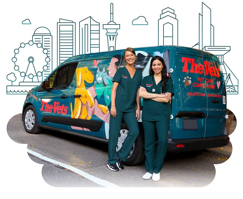 the mobile vets of Seattle