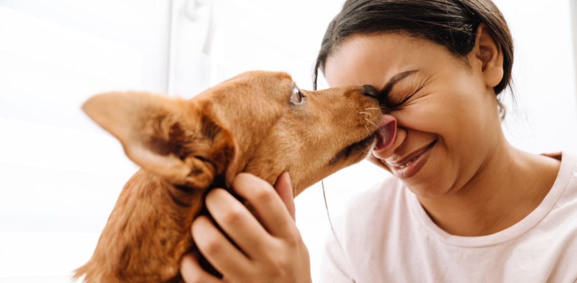 dog licking woman's face