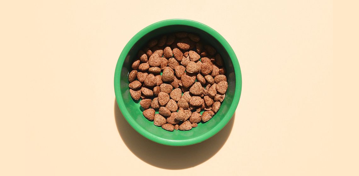 pet's bowl