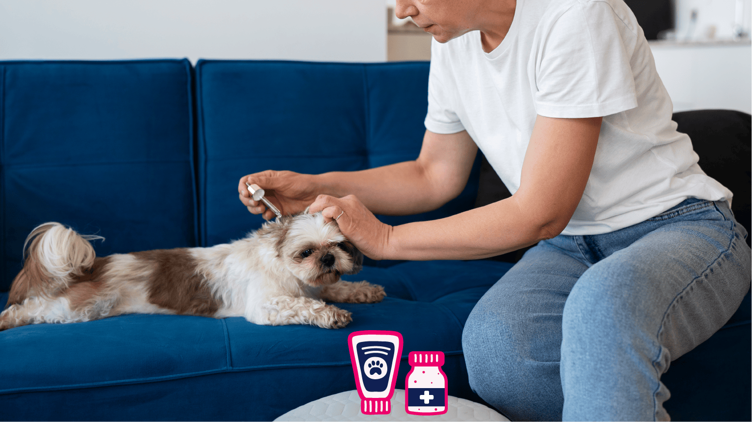 A pet parent administering OTC medication to their dog at home.