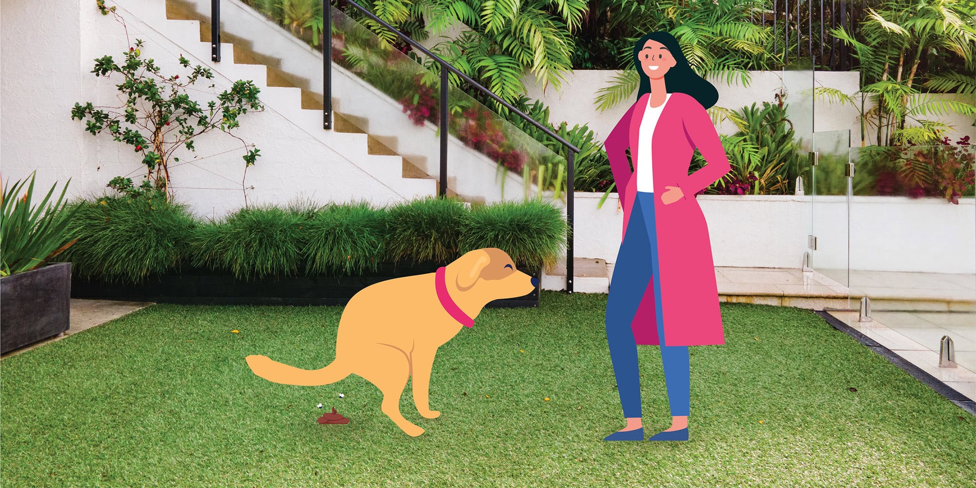 Dog pooping illustration