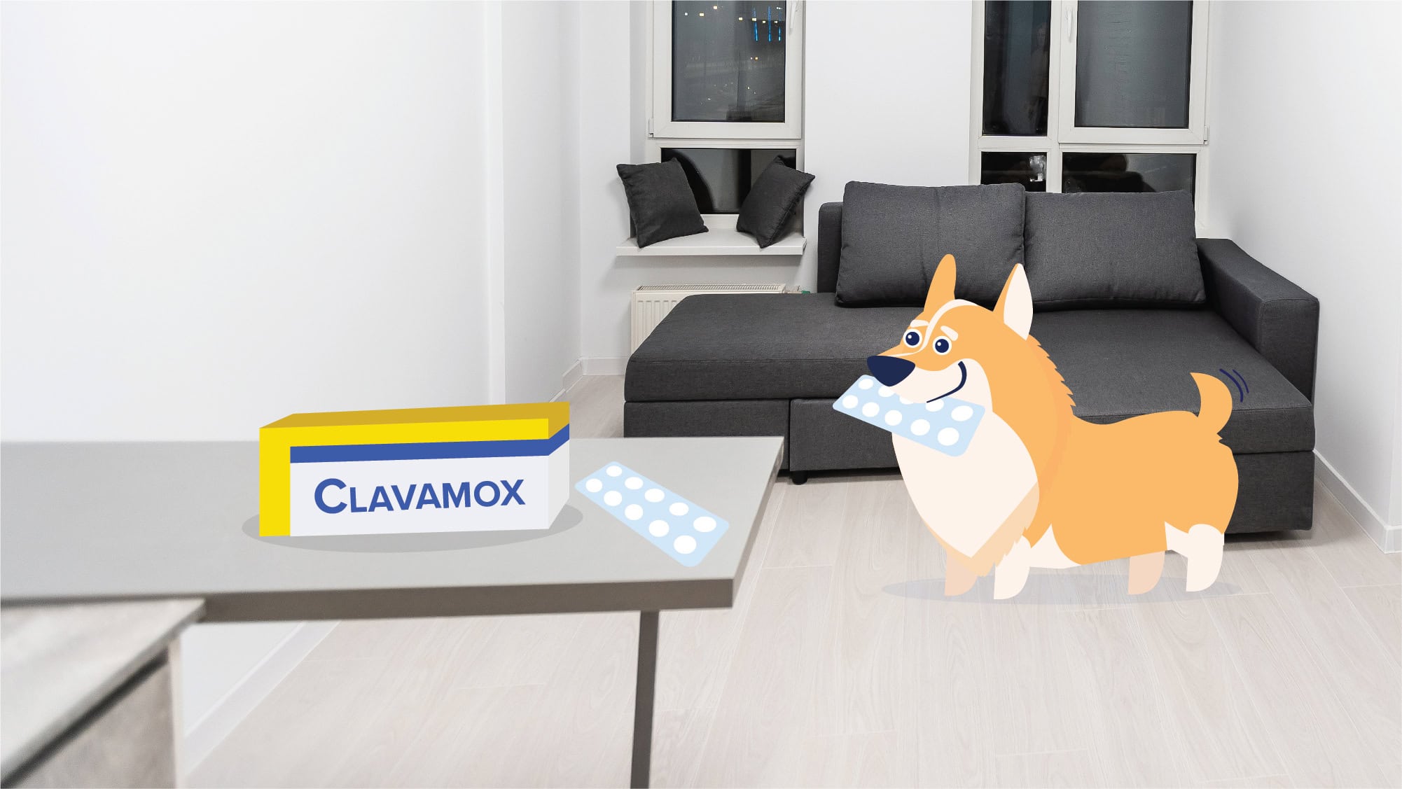 Dog with clavamox in its mouth illustration