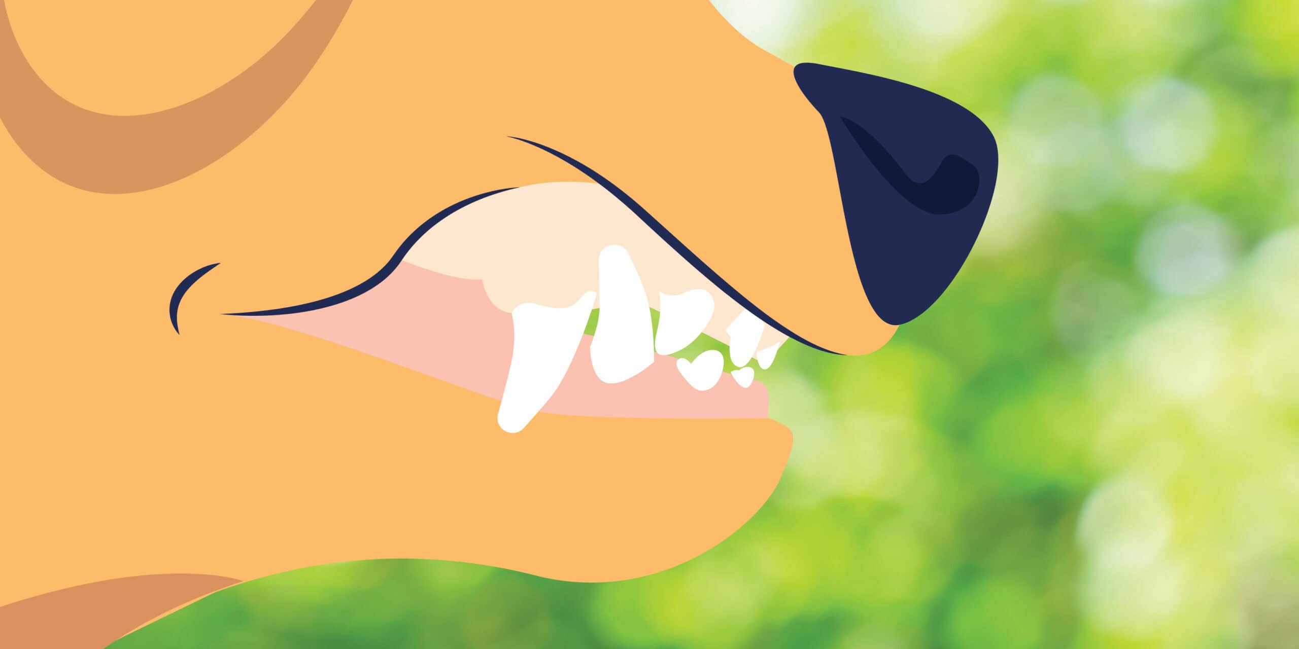 Dog with pale gums illustration