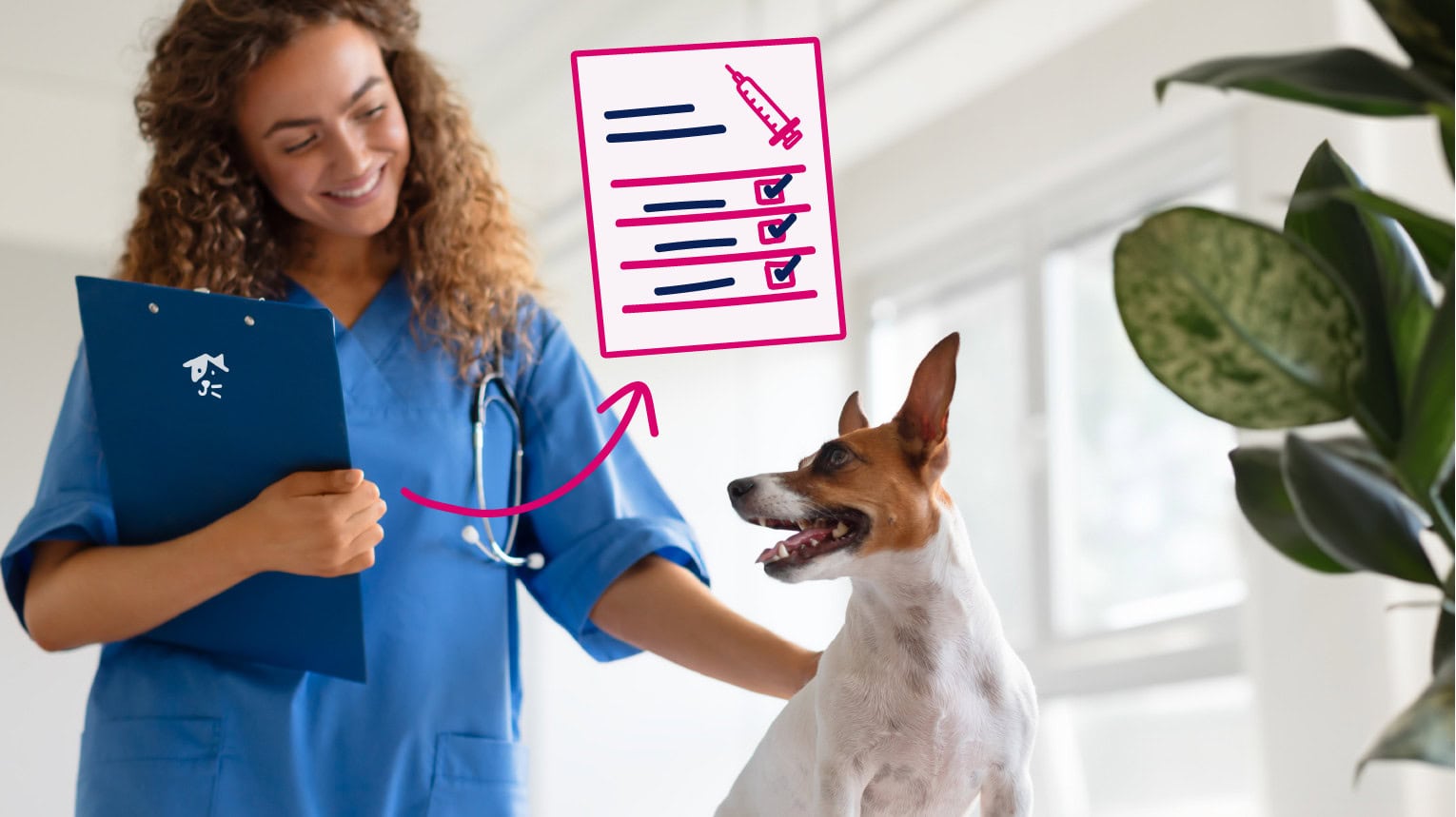 A veterinarian giving a puppy the 5-in-1 vaccine. Checking off their vaccine schedule.