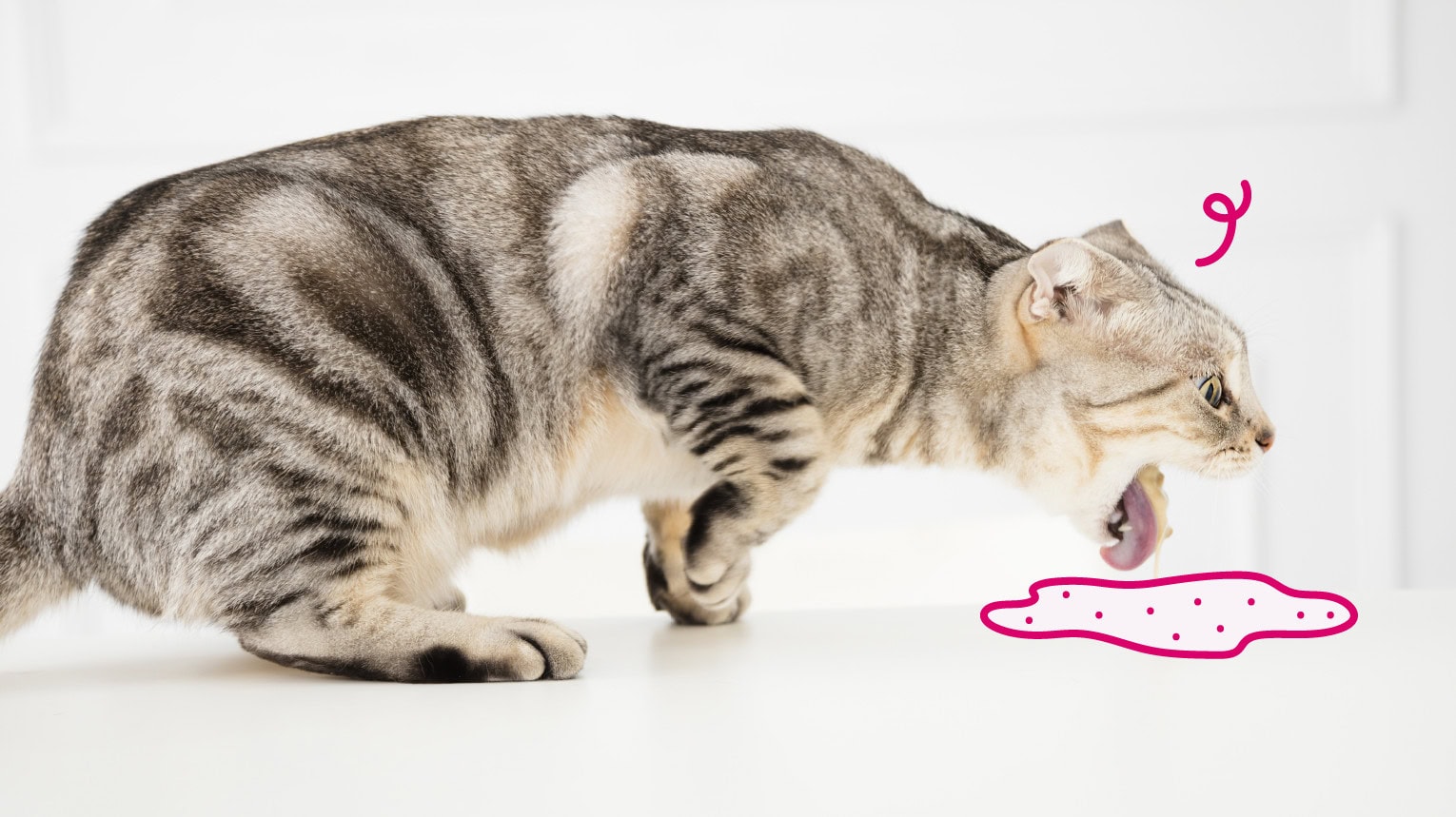 A cat vomiting on a counter.