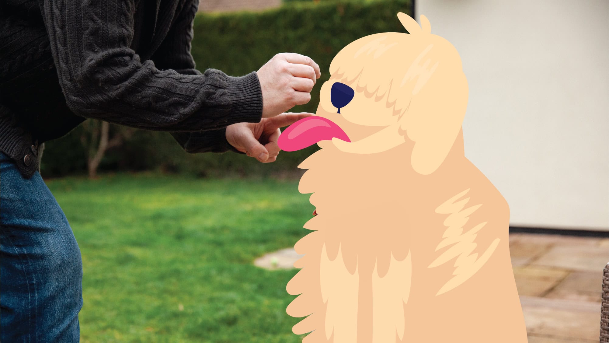 Dog licking owner illustration