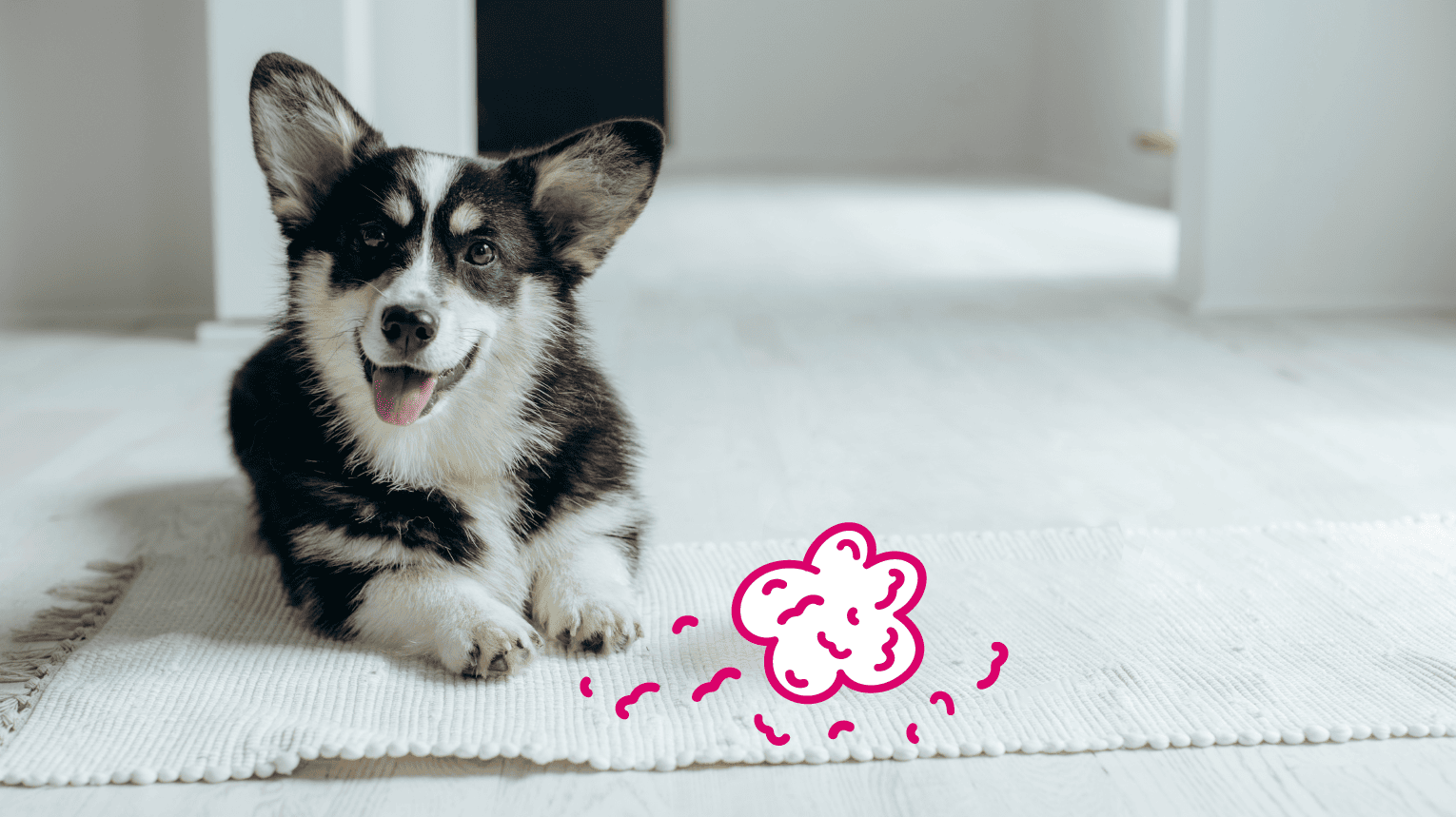 A dog shedding on a small carpet.