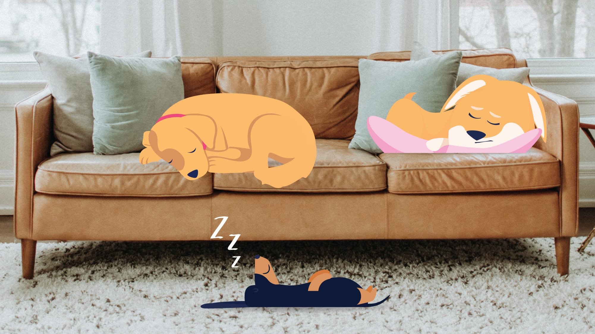 Dog sleeping positions illustration