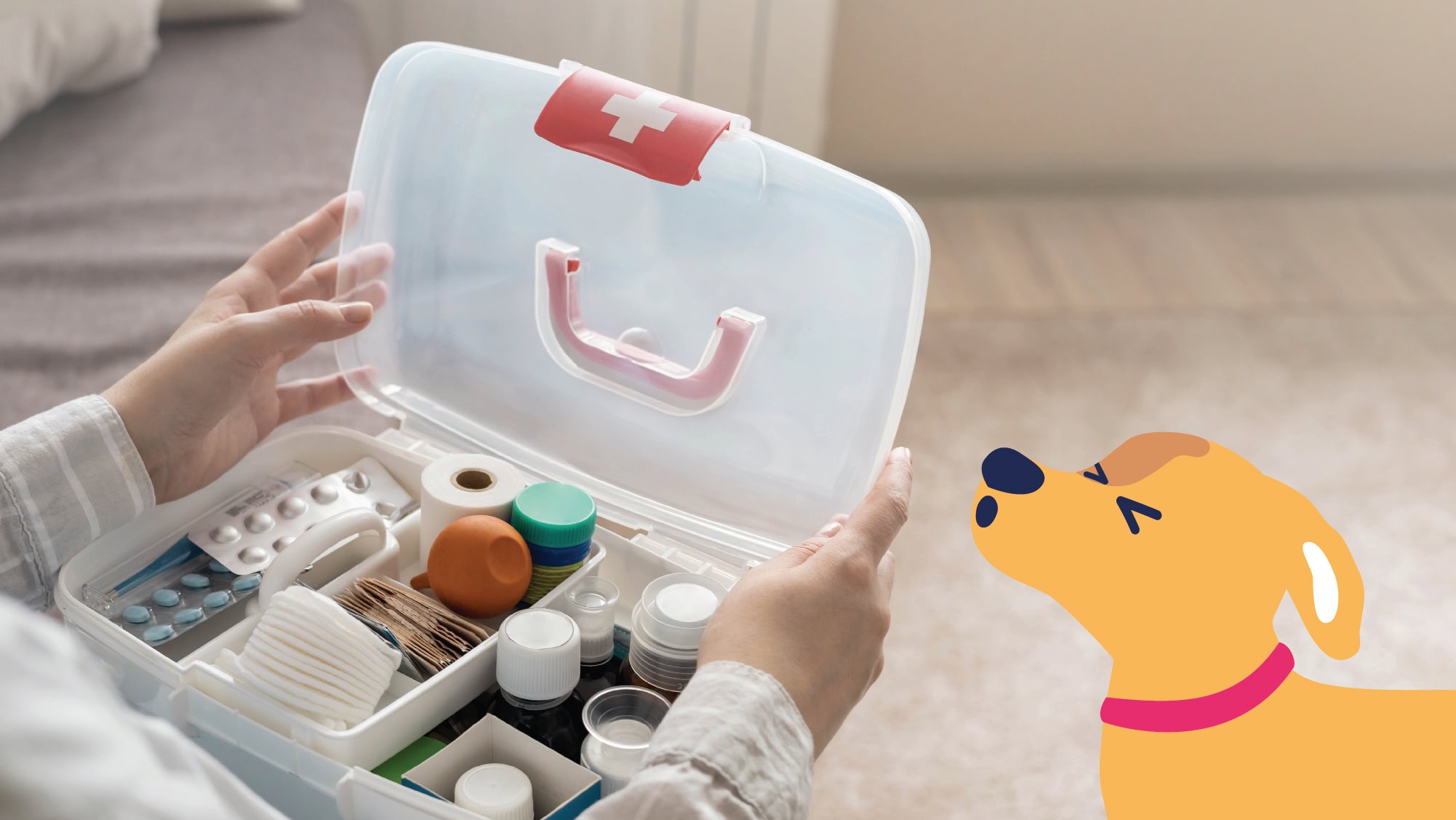 Dog wincing next to first aid kit illustration