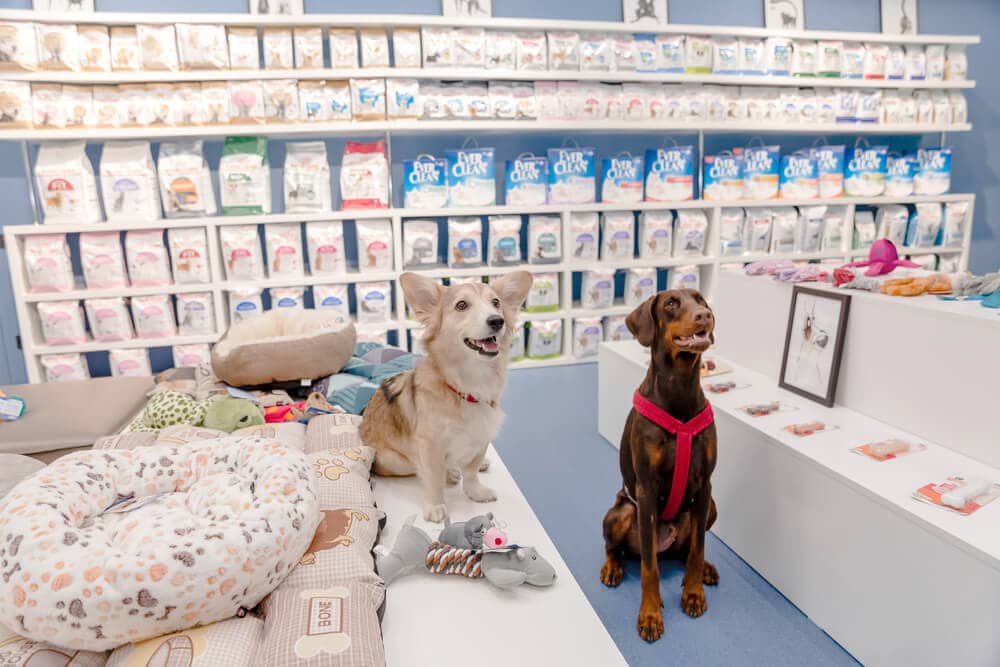 Dogs in front of breed-specific food at a pet store.