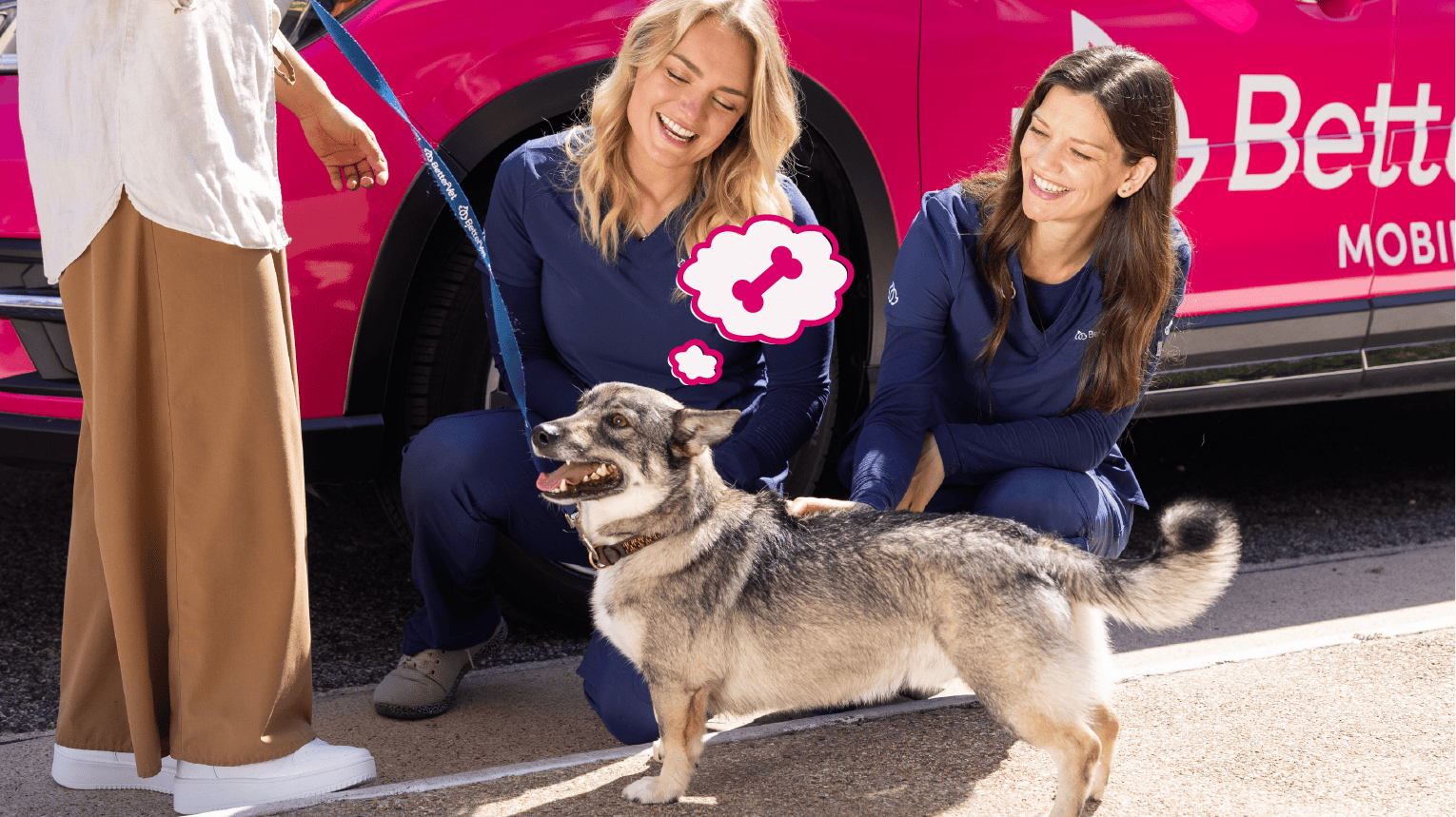 BetterVet mobile veterinarians greeting a dog during home vet visit.