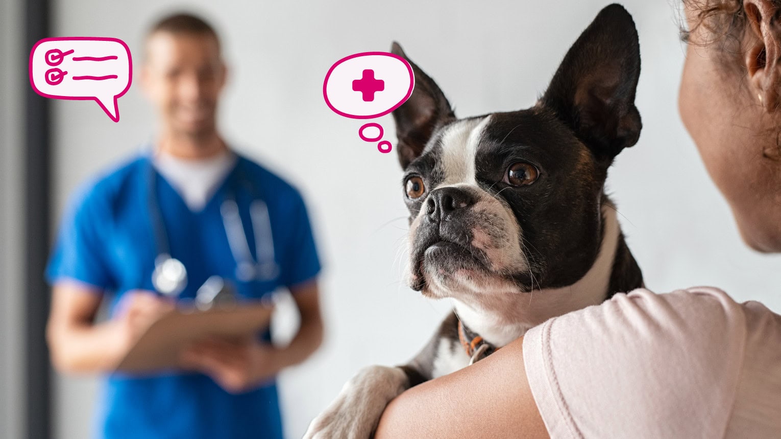 An owner holding their pet before a veterinarian performs diagnostic tests.