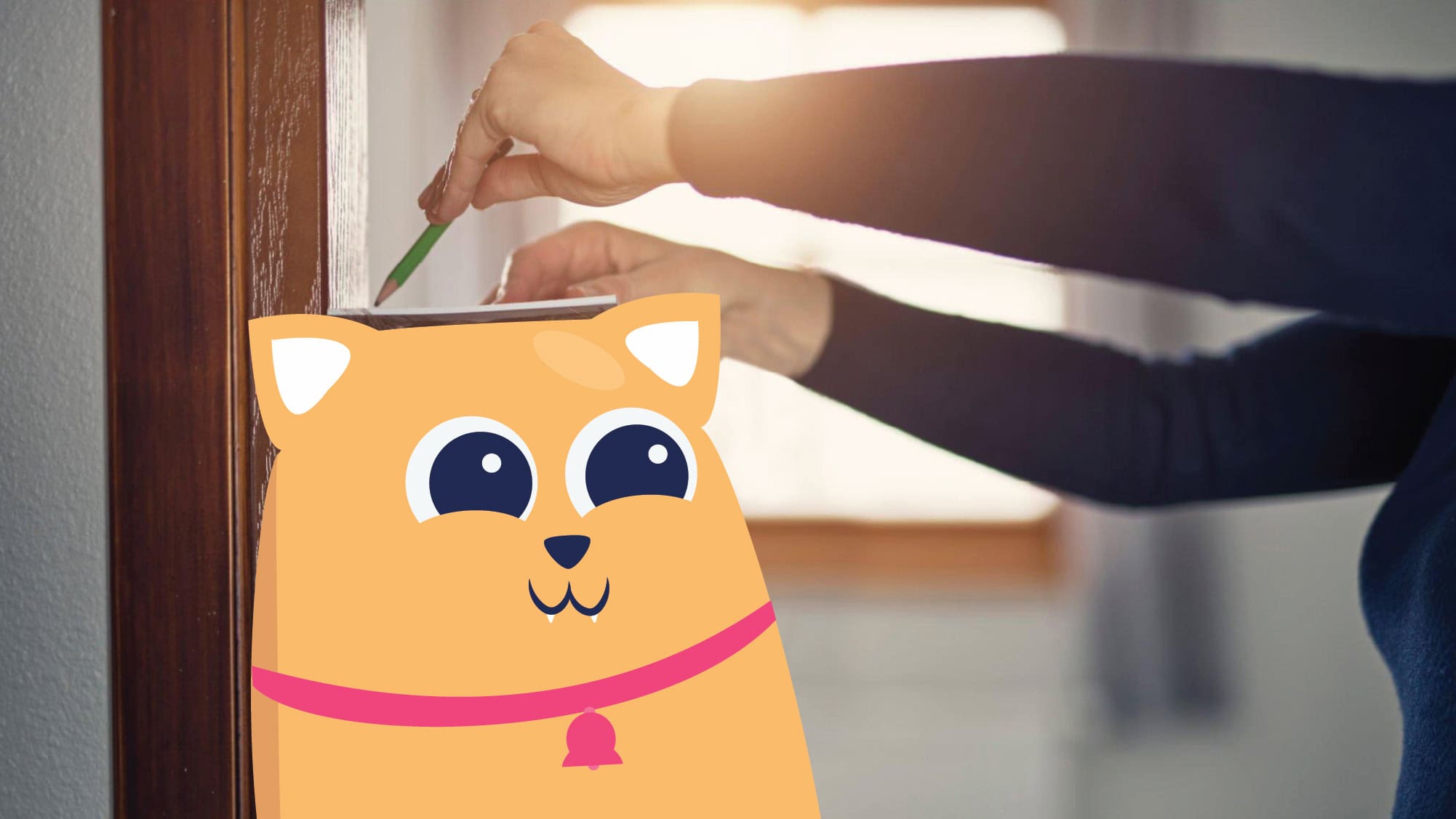 Person measuring their kitten illustration