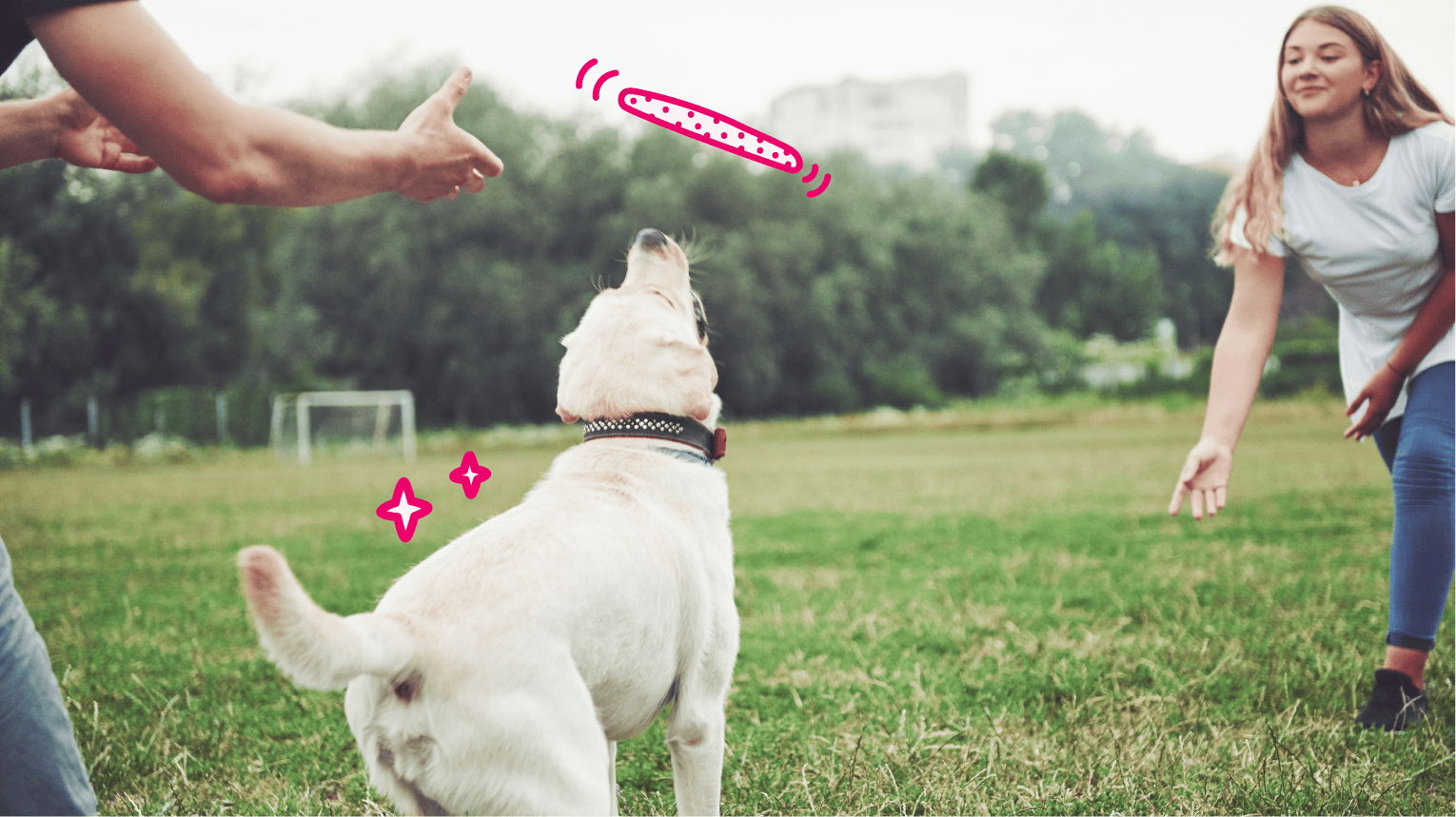 Two pet parents helping their dog get some exercise by playing at a park.