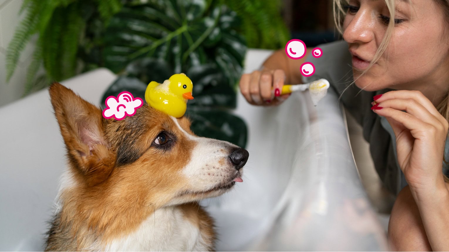 A pet parent brushing their dogs teeth in the tub.