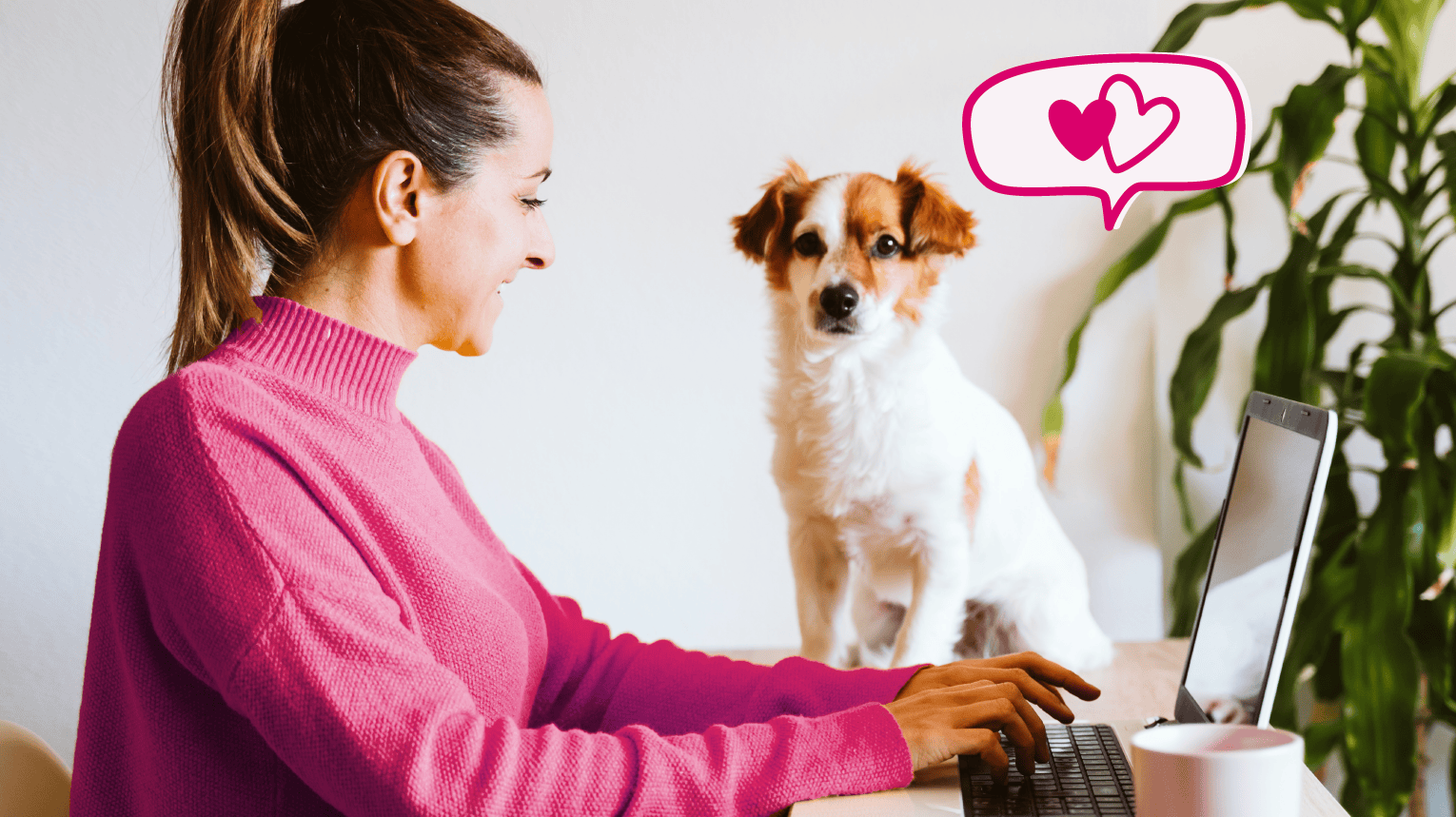 A pet parent chatting with a virtual vet online